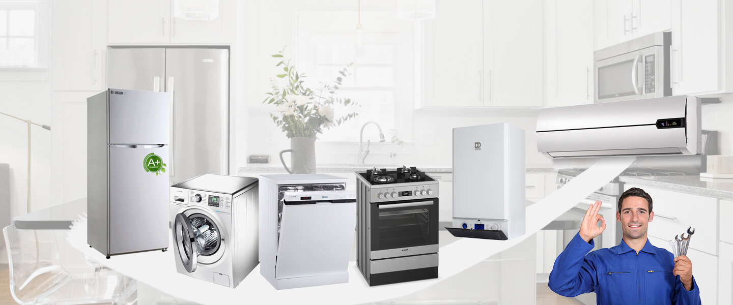 Tefenni Electrolux Servisi
